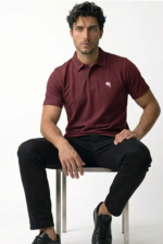 PR3 SS 008 C || Maroon || 100% Cotton Polo T-Shirt - Image 3
